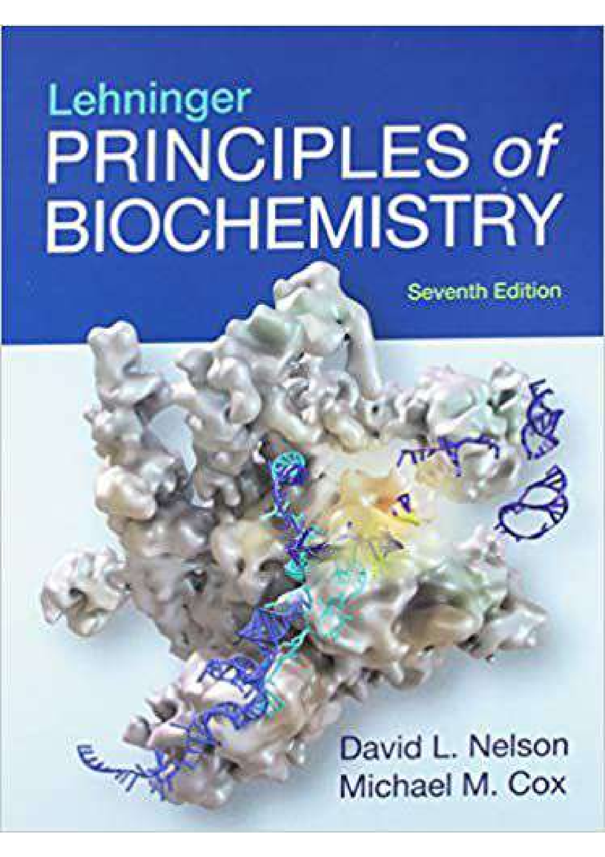 Preview image for Lehninger Principles of Biochemistry 7th Edition Nelson Test Bank UPDATED 2021